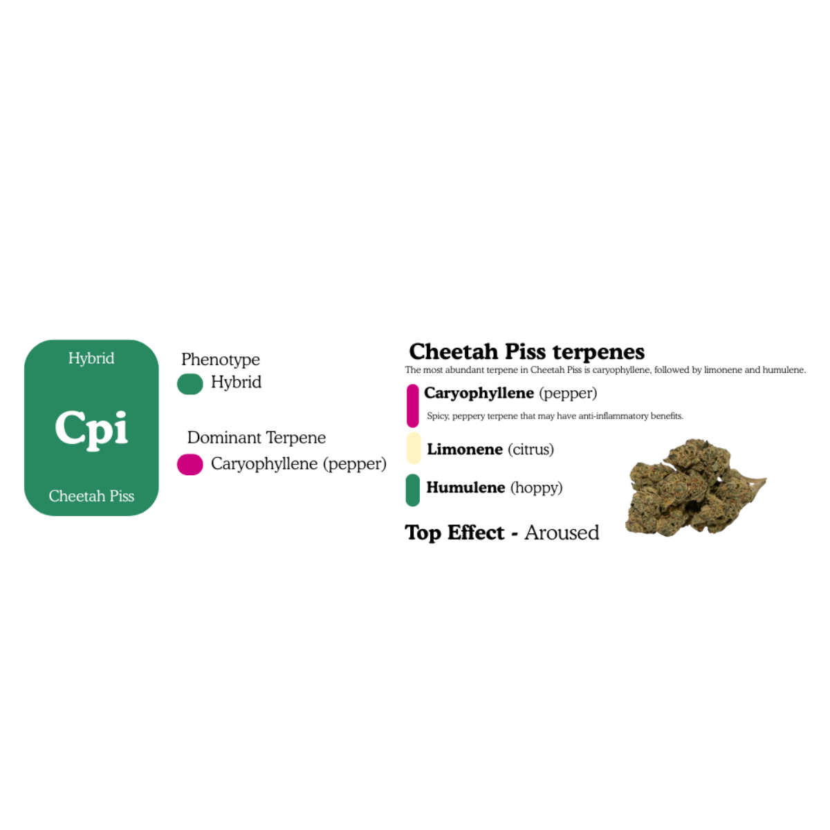 Stoney Jane Dub - High THCa Flower 2 Grams - Hybrid - Balance