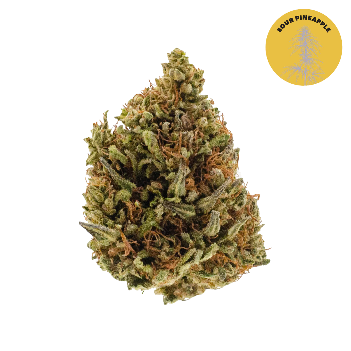 East Fork Cultivars Organic CBD Hemp Flower