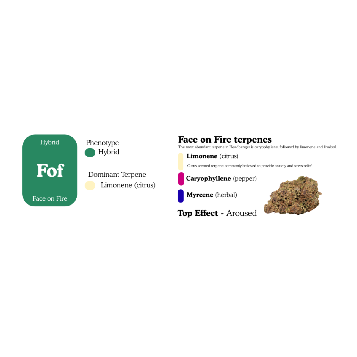 Stoney Jane Dub - High THCa Flower 2 Grams - Hybrid - Balance