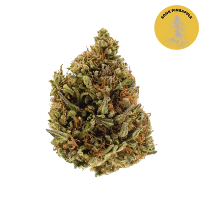 East Fork Cultivars Organic CBD Hemp Flower